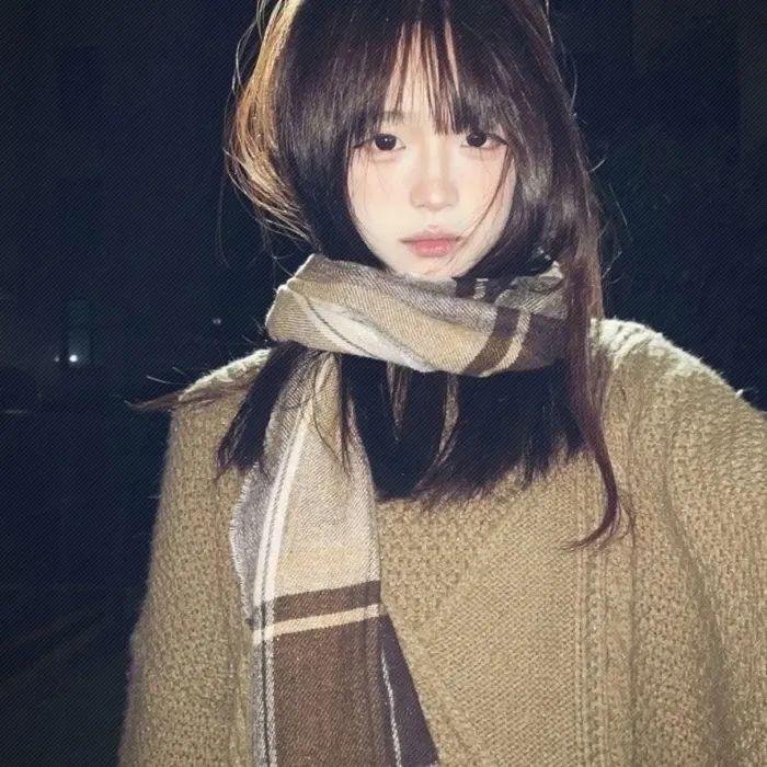飞蛾日记
