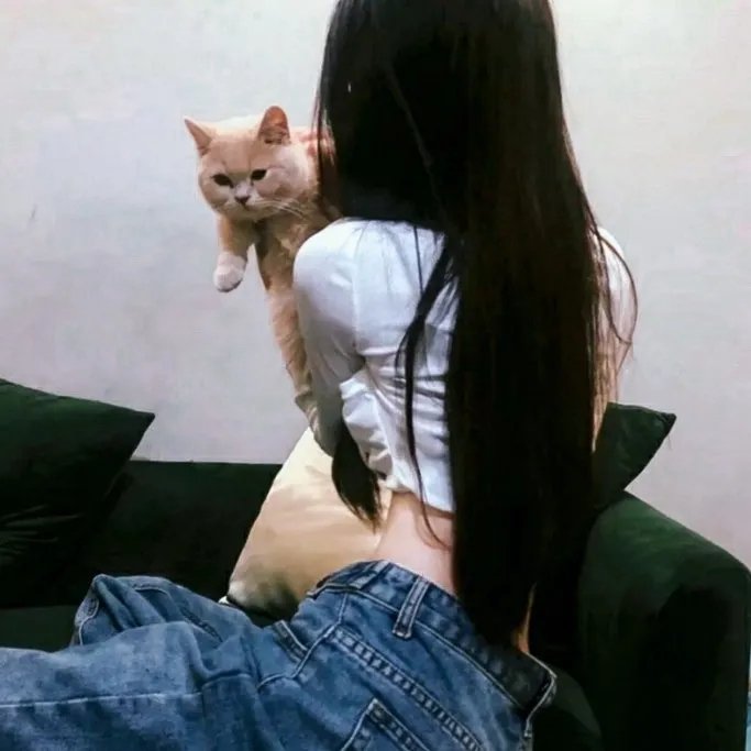 杀手之约 在线观看